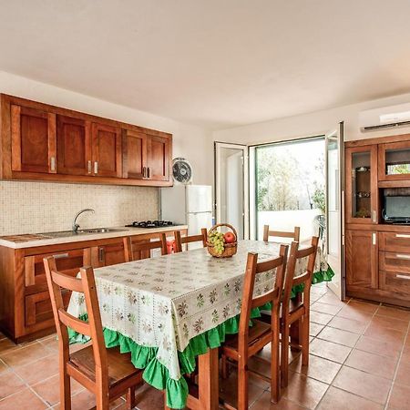 Green Star Holiday House Βίλα Marina di Mancaversa Εξωτερικό φωτογραφία